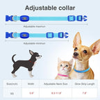 YFbrite LED Dog Collar XS, Lightweight Cat Collar Light, Comfortable Light Up Puppy Collars, USB Rechargeable Adjustable Puppy Walking Safety Light (Blue, XS)