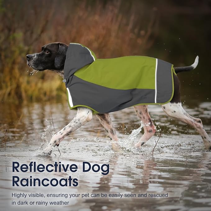 IECOii Dog Raincoats for Large Dogs,Waterproof Large Doggy Rain Jacket with Hood,Reflective Breathable Pet Rain Coat with Hood,Ideal for Adventures, Walking, Hunting in Dark,Green,XL