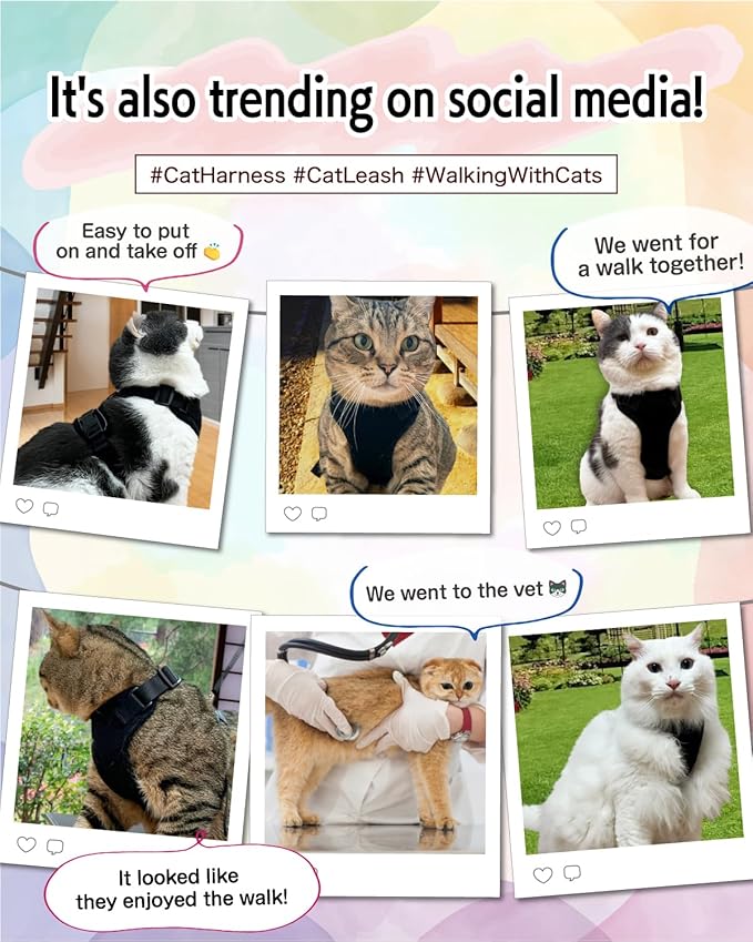 Cat Harness Escape Proof with Leash for Walking, Travel Vest Soft Chest Support, Adjustable Size, Escape Proof Soft Adjustable Vest Harnesses, Breathable, Kittens, Small Dogs (美/背縄/粉1/S)