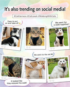 Cat Harness Escape Proof with Leash for Walking, Travel Vest Soft Chest Support, Adjustable Size, Escape Proof Soft Adjustable Vest Harnesses, Breathable, Kittens, Small Dogs (美/背縄/橙1/XS)