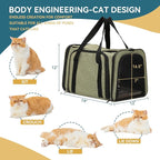 Petsfit Top Load Expandable Dog Carrier for Small Dog, Medium Cat, Or 2 Small Cats with Comfy Pad, Escape Proof, Easy Storage, Washable, Fit for Vet Visit and Outdoor, 19"X12" X12", Green