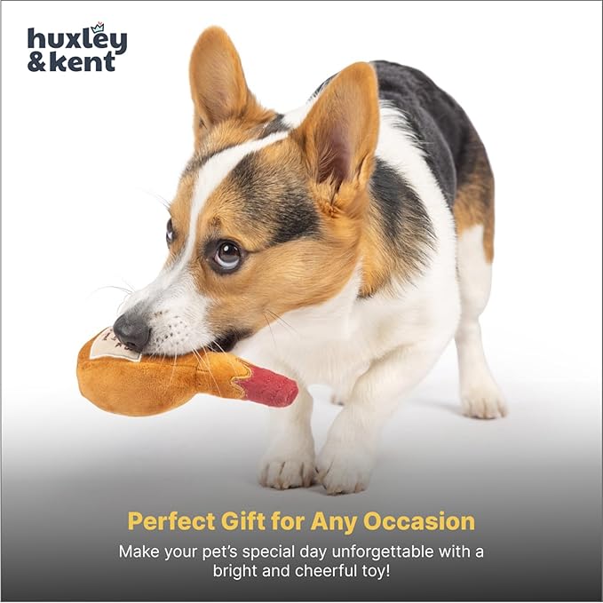 Huxley & Kent Funny Dog Toy w/Squeaker – Power Plush Squeaky Dog Toys for Small Dogs – Durable Small Stuffed Animal for Indoor Play & Fetch - Tiny Tuff Barker's Mark
