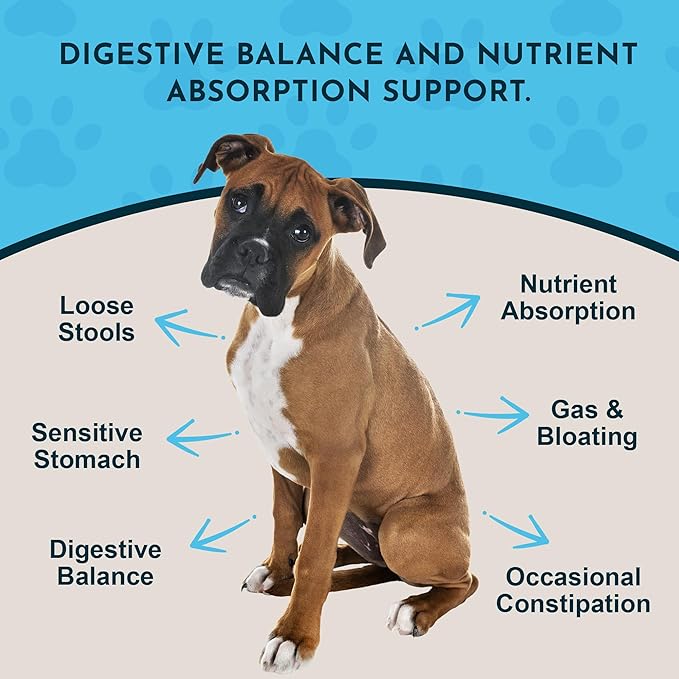 Animal Essentials Plant Enzyme & Probiotics for Dogs & Cats - Digestive Enzymes for Dogs, Probiotic Powder, Digestive Supplement, No Preservatives, Veterinarian Recommended - 3.5 Oz
