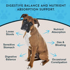 Animal Essentials Plant Enzyme & Probiotics for Dogs & Cats - Digestive Enzymes for Dogs, Probiotic Powder, Digestive Supplement, No Preservatives, Veterinarian Recommended - 3.5 Oz