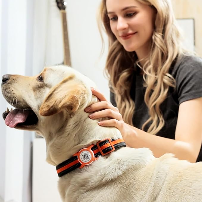 Holder for Dog Collar, Scan QR Code Send Location Alert Email, Waterproof Full Body Protection Anti-Lost Case, Accessories for Dog, Cats, Collar, Backpack (Orange, Large)