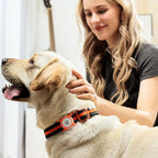 Holder for Dog Collar, Scan QR Code Send Location Alert Email, Waterproof Full Body Protection Anti-Lost Case, Accessories for Dog, Cats, Collar, Backpack (Orange, Large)