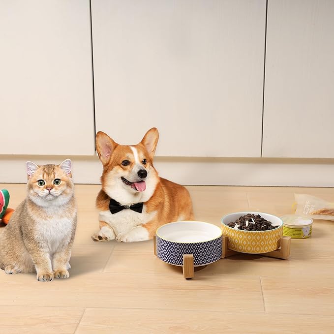 Selamica Ceramic 14 OZ Dog Bowls, Dog Food and Water Bowls with Wooden Stand, Anti-Slip Dog Dishes Set for Cats & Small Dogs, Weighted Pet Bowls Set of 2, Assorted Color A
