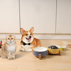 Selamica Ceramic 30 OZ Dog Bowls with Wooden Stand, Anti-Slip Dishes Set for Cats and Small Dogs, Weighted Bowls in Assorted Colors