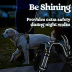 rabbitgoo Dog Harness Small Sized, No Pull Pet Harness with 3 Buckles, Adjustable Soft Padded Vest with Control Handle, Walking Reflective Pet Vest for Small Dogs, Blue Coral, S