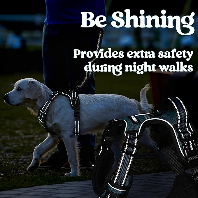 rabbitgoo Dog Harness Medium Sized, No Pull Pet Harness with 3 Buckles, Adjustable Soft Padded Vest with Control Handle, Walking Reflective Pet Vest for Medium Dogs, Blue Coral, M