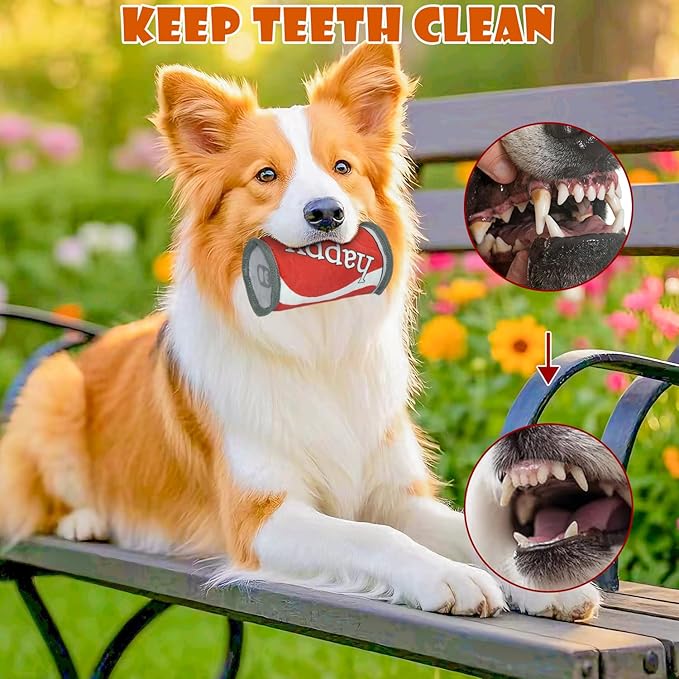 Dog Birthday Toy,No Stuffing Dog Toys for Puppy, Squeaky Plush Dog Toys for Large, Medium and Small Breeds, Balls Inside,Suitable Size Interactive Dog Toy for Indoor Outdoor Play