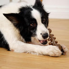 MewaJump Dog Chew Toys for Aggressive Chewers - Indestructible Fish Bone Toys, Durable Entertainment for Medium/Large Breed Dogs