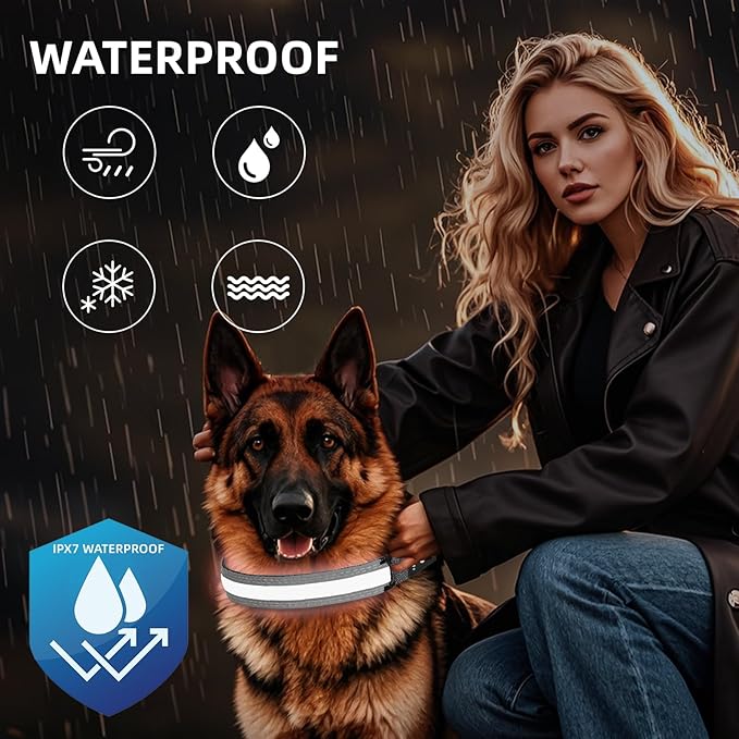 PetIsay LED Dog Collar Metal Buckle - Heavy Duty Light up Collars - Rechargeable IP68 Waterproof - Lighted Dog Collar for Night Walking, Hiking, Camping (Medium, White)