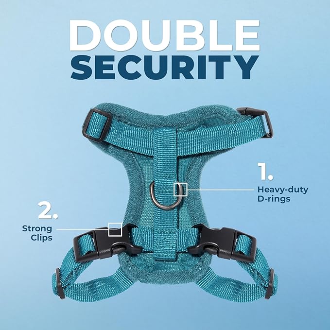 Voyager Escape-Proof Step-in Lock Cat Harness & 5ft Neoprene-Handle Leash Set All-Weather Mesh with Reflective Stitching for Small to Large Cats by Best Pet Supplies, Turquoise, XS