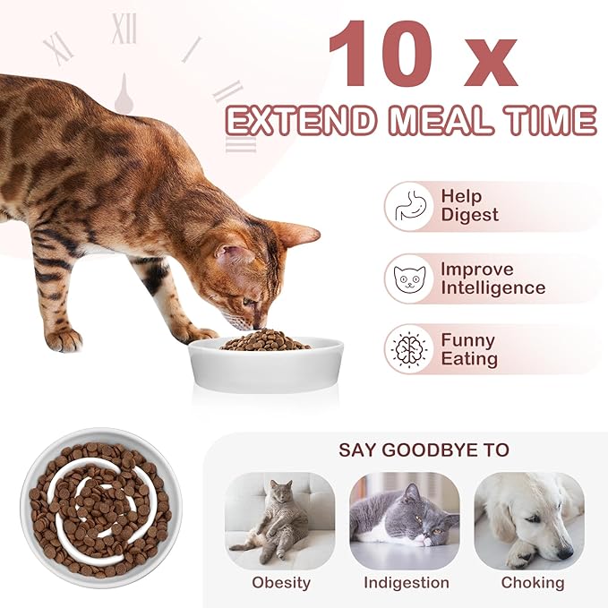 TRUVIC Ceramic Slow Feeder Dog Bowls Small Breed, 0.6 Cup Slow Feeder Cat Bowls for Fast Eaters, Ceramic Dog Food Dish no Black Chin, Puzzle Bowl for Small Dogs and Cats, White