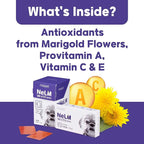 NeLM Supplements & Vitamins for Dogs - Mouth Dissolving Strips - Multivitamin, Eye, Hip & Joints, Gut, Dental Support - Pet Health Supplies - 30 Stips(Pack of 1) (30 Strips (Pack of 1), Eye Support)