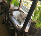 PETLESO Cat Bed Plush Cats Cushion, Cat Bed for Indoor Cats Fluffy Pet Mat for Cat Small Dog Curl Sleep for Crate Carrier, Medium 22" x 16"