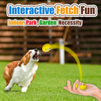 Squeaky Dog Toy for Small Dogs Latex Soft Puppy Toys Small Dog Toys Balls, Smile Face Flat Squeaky Dog Balls for Mini, Small Breeds