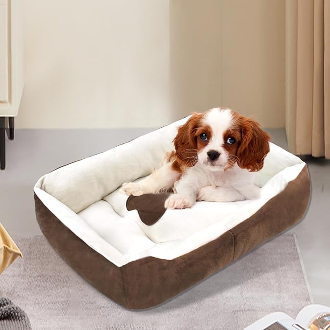 Dog Beds for Small Dogs,Rectangle Cat Beds for Indoor Cats,20"x15"x6" Washable Pet Bed with Side and Anti-Slip Bottom for Medium Dog,Kitten(Beige)