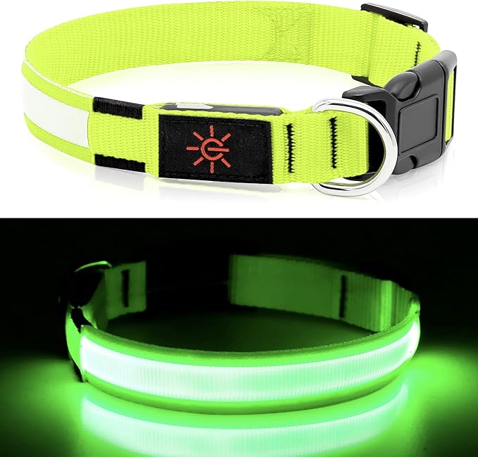 LED Dog Collar - Light Up, Waterproof, Adjustable Flashing, Rechargeable Visibility & Safety for Dogs (Green, Large)
