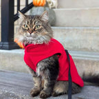 JACKO & CO - Fleece Vest Sweater with Leash Ring - Soft Lightweight Breathable for Puppies Small Medium Dogs, Kitten, Cats, Chihuahua - Warm for Fall/Autumn/Winter (Red, X-Small 2-4lbs)