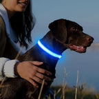 YFbrite Light up Dog Collar, USB Rechargeable LED Puppy Collar Super Bright Adjustable Glowing Dog Lights for Night Walking (Design-2- Blue, Large)