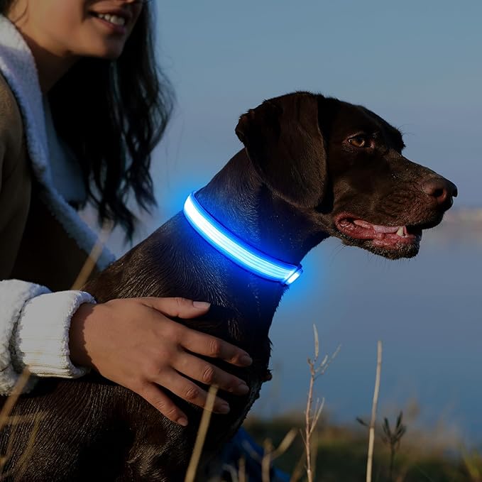 YFbrite Light up Dog Collar, USB Rechargeable LED Puppy Collar Super Bright Adjustable Glowing Dog Lights for Night Walking (Design-2- Blue, Large)