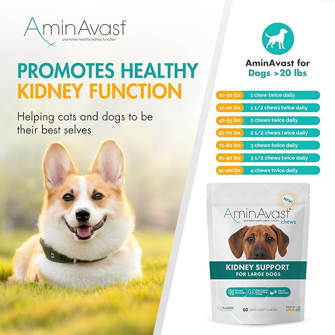 AminAvast Dog Kidney Supplement - Supports Natural Kidney Function - Promotes Health & Vitality of Aging Kidneys - Pet-Friendly, 1000mg (60 Chews)