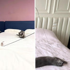 Feather Toys Replacements (3 Pc) - Cat Toys & Kitten Toys for Indoor Kittens, Set of Replacement Feather Attachments Extra Small and Durable, for Cat Wands, Natural and Safe