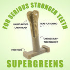 Bullibone SuperBrush: Dog Teeth Cleaning Brushing Toothbrush Stick - Long Lasting Nylon Super Greens Chew Toy for Oral Care and Dental Health