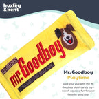 Huxley & Kent Funny Dog Toy w/Squeaker – Power Plush Squeaky Dog Toys for Small, Medium & Large Dogs – Soft Stuffed Animal for Indoor Play & Fetch - Mr Goodboy, Small