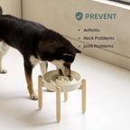 8.2inch Ceramic Raised Slow Feeder Dog Bowl Set, Elevated Wooden Stand for Large and Medium Dog, Puzzle Slow Dish, Anti-Gulping(Beige, Single Bowl+ Stand)