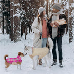Kuoser Waterproof Dog Coat, Reversible Dog Jacket for Small Dogs, Adjustable Durable Doggie Winter Coat Warm Cozy Puppy Cold Weather Apparel from Small to Large Breed, Rose S