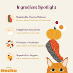 Made by Nacho Dry Cat Kibble 2lb Bag, High Protein and Grain-Friendly Premium Cat Food, Sustainably Caught Salmon and Pumpkin, Infused with Bone Broth for Hydration, Limited Ingredients, Single Bag