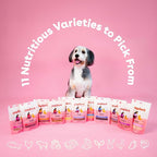 Pupford Freeze Dried Training Treats for Dogs & Puppies, 225+ Two Ingredient Bites (Salmon, 2 oz)