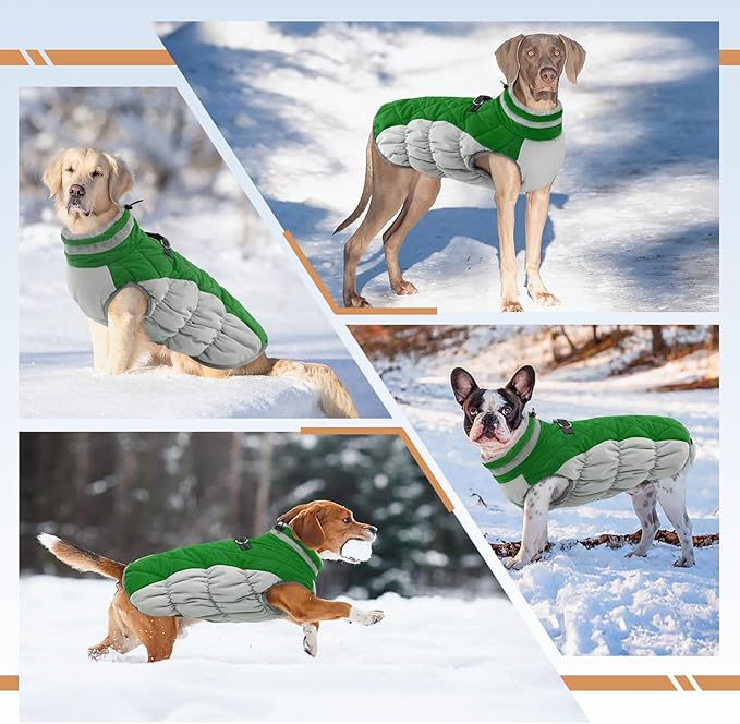 Dog Coats for Small Dogs, Puppy Coat, Warm Winter Jacket, XS Dog Coat with Harness Built in, Waterproof Pet Cold Weather Coats, Puppy Winter Clothes Snowsuit Chihuahua Maltese,Green,XS