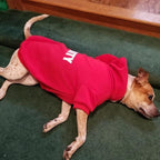 BINGPET Security Dog Hoodies Puppy Sweater Cold Weather Dog Coats Soft Brushed Fleece Pet Clothes Hooded Sweatshirt for Dog Cat