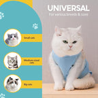 Avont Cat Recovery Suit - Kitten Onesie for Cats After Surgery, Cone of Shame Alternative Surgical Spay Suit for Female Cat, Post-Surgery or Skin Diseases Protection -Blue(M)