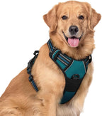 rabbitgoo Dog Harness No Pull with 2 Leash Clips, Adjustable Soft Padded, Reflective Oxford No Choke Pet Vest with Easy Control Handle for Large Dogs, Blue Coral, XL