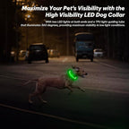 BSEEN Light Up Dog Collar - LED Dog Collar Rechargeable, Glowing Pet Collars for Small Medium Large Dogs, TPU Cuttable Lighted Puppy Collar, Safety Dog Lights for Night Walking (Green 70cm)