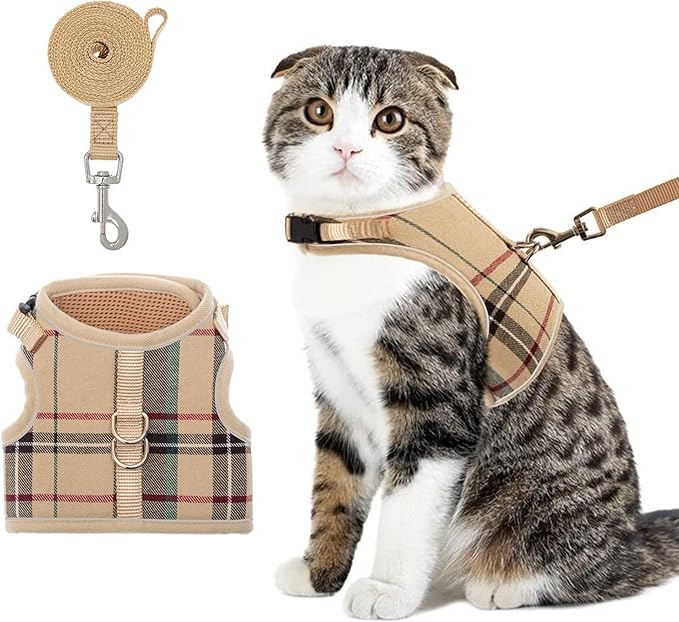 BINGPET Cat Harness and Leash Escape Proof - Soft and Air-Mesh Kitten Travel Walking Harness - Vest Harness for Small Medium Large Cats & Puppy Dog & Rabbit, Medium
