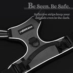 rabbitgoo Dog Harness No Pull with 2 Leash Clips, Adjustable Soft Padded, Reflective Oxford No Choke Pet Vest with Easy Control Handle for Large Dogs, Grey, L