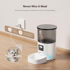 Automatic Cat Feeders, 3L Timed Cat Dry Food Dispenser, Dual Power Supply, Programmable Portion Size, Auto Pet Feeder for Cats and Small Dogs
