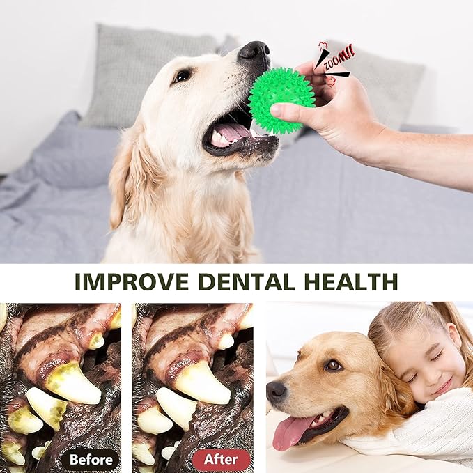 Petizer 3 Pack 2.5" Squeaky Toy Balls, Floating Pool Balls, Spiky Water Toys, Durable Interactive Fetch Toys for Puppy, Chew Toys for Teething (Small Dog)