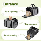 Pecute Expandable Cat Carrier, Soft Side Pet Carrier with Seat Belt, Dog Carriers for Small Dogs, Portable & Foldable Cat Bag Carrier Great for Travel, Outdoor, Hiking, Camping