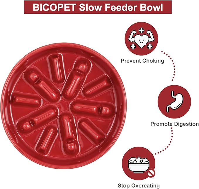 Ceramic Maze Dog Slow Feeder with Non-Slip Silicone Rim (& Bamboo Stand) – Heavy-Duty Stoneware Bowl with Puzzle Pattern for Bloating & Obesity Prevention (Raised-Red-S)