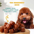 Plant-Based Pumpkin Dog Treats - Pumpkin, Carrot, Apple, and Blueberry Soft & Chewy - Vegetarian, Vegan Dog Treats with Organic Ingredients - Low-Protein, Hypoallergenic, Gluten-Free