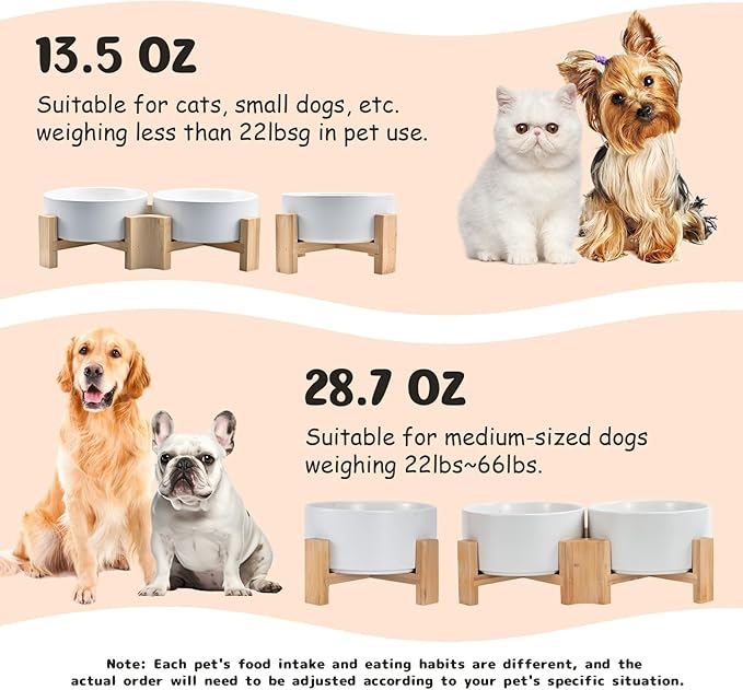 SPUNKYJUNKY 15° Slanted Ceramic Dog and Cat Bowl with Wooden Stand, Tilted Bulldog Food and Water Bowl No Slip Non-Spill for Cats Medium Dogs Big Face Pets 13.5 OZ (1.7 Cups, White × 2)