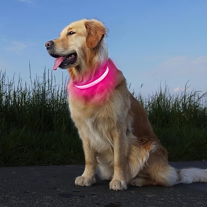 Pceotllar Light Up Collar - Rechargeable Led Dog Collar with Automatic 7-Color Changes, Water Resistant, Night Walking with High Visibility, Bright Glow (Pink, M)