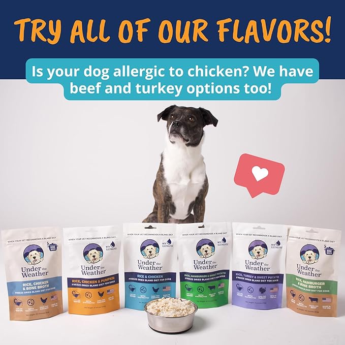 Under the Weather Bland Diet for Dogs | Easy to Digest for Sick Dogs |Always Be Ready | Contains Electrolytes - All Natural Freeze Dried 100% Human Grade Meats | 6 Pack - Rice, Chicken & Pumpkin - 6oz